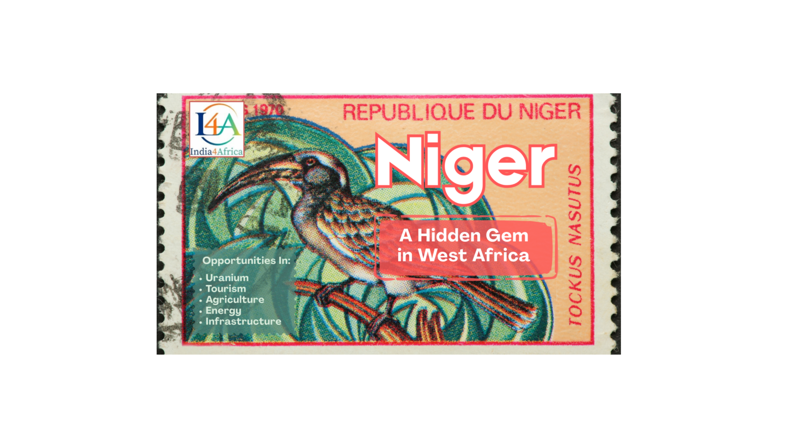 Niger: An Untapped Treasure in the Heart of West Africa
